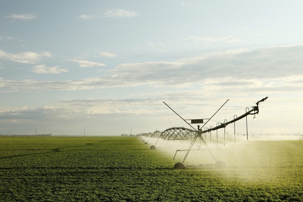 Maximizing Alfalfa Irrigation Efficiency