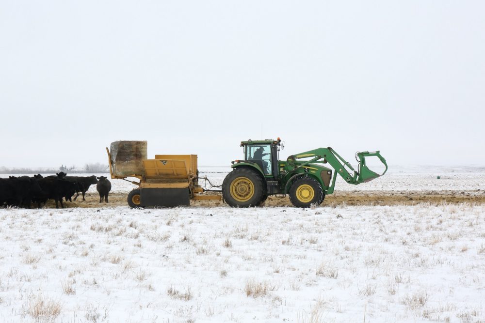 Vermeer BPX9000 Bale Processor in Snowy Field with Cattle