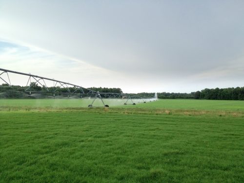 PItchfork Farm Field with Irrigation Equipment