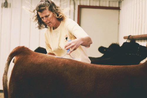 Barb Ohlrichs with Cattle