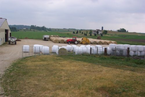 Wrapped and Unwrapped Hay Bales Sitting on Farm