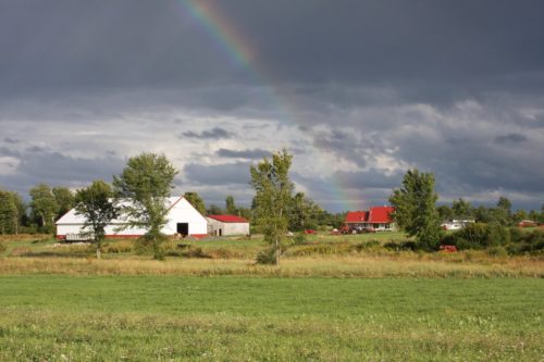 Rainbow Over Wellacrest Farms