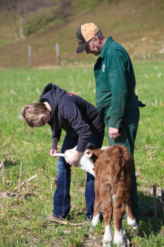 Stacy Bennett Feeding a Calf