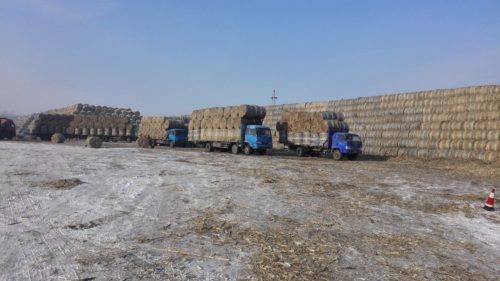 Stacked Hay Bales in China