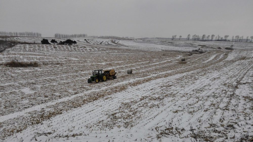 Big Plans for Biomass