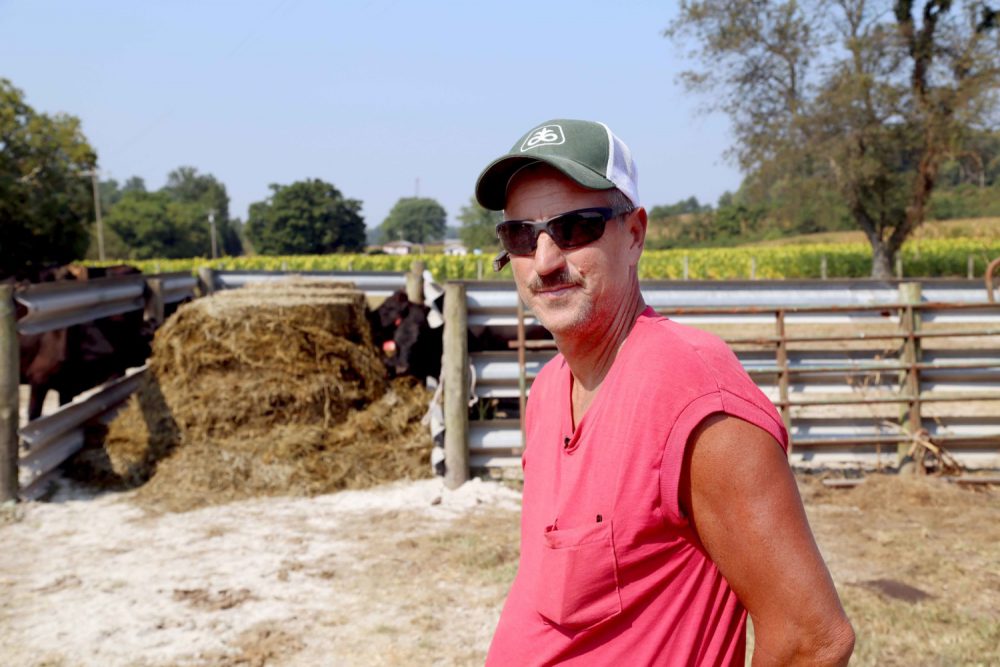 The Story on Silage and How to Bale It