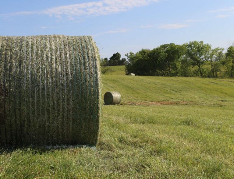 Would you like netwrap, twine or plastic with your bale?