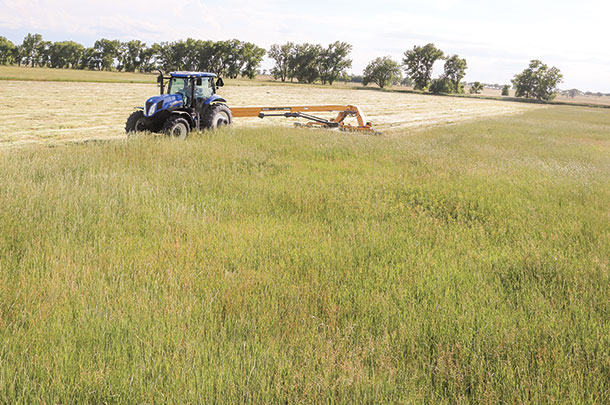 The Lowdown on When and How to Mow a Hay Field