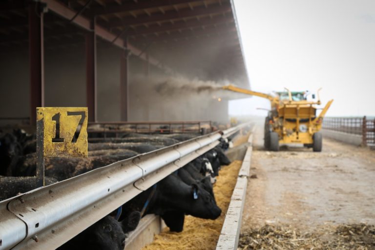 Does a Bale Processor Make Sense for Your Livestock Operation?