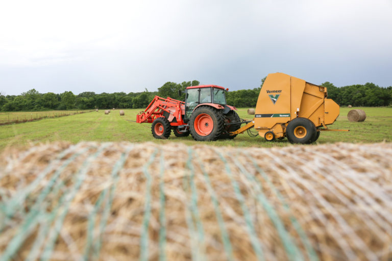 Building a Custom Hay Operation? Here Are 4 Tips To Help You Succeed