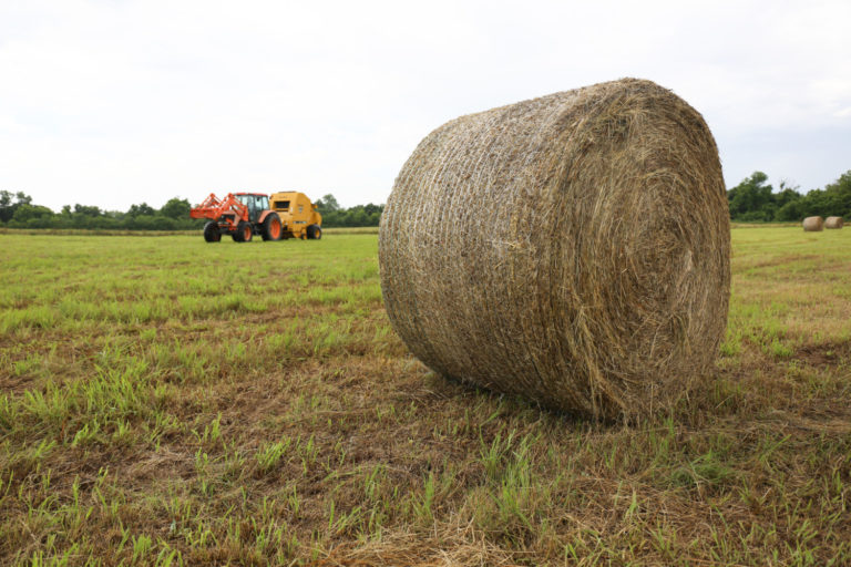 Building a Custom Hay Operation? Here Are 4 Tips To Help You Succeed