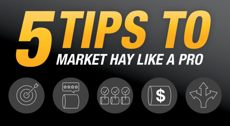 Market Hay Like a Pro With These Five Tips