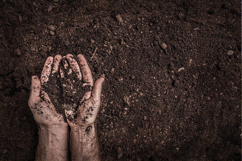 Boost soil health with this trio of practices