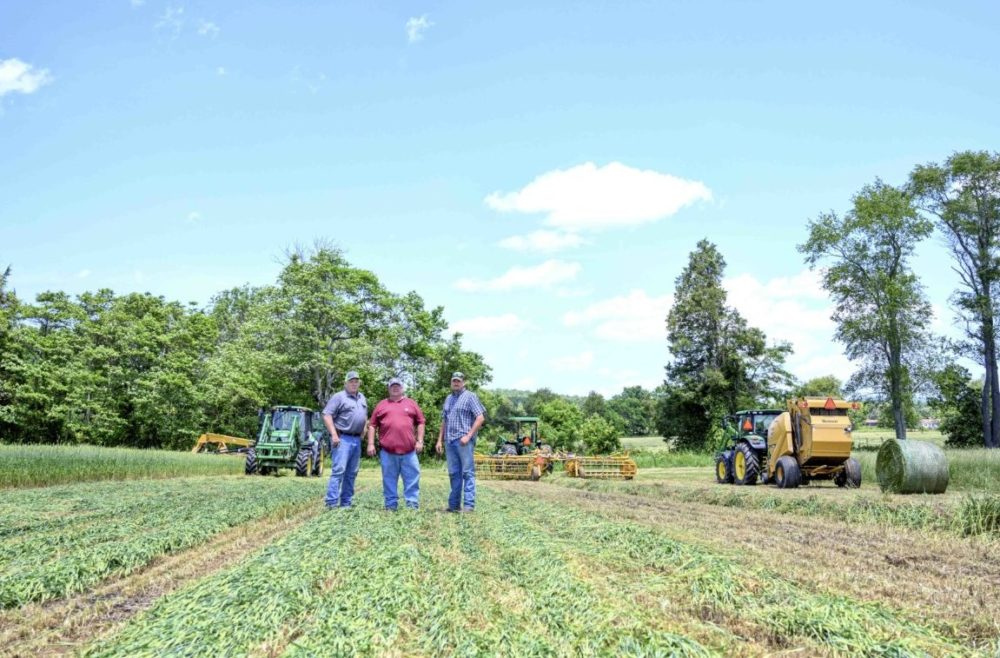 Rancher creates new efficiencies with Vermeer lineup