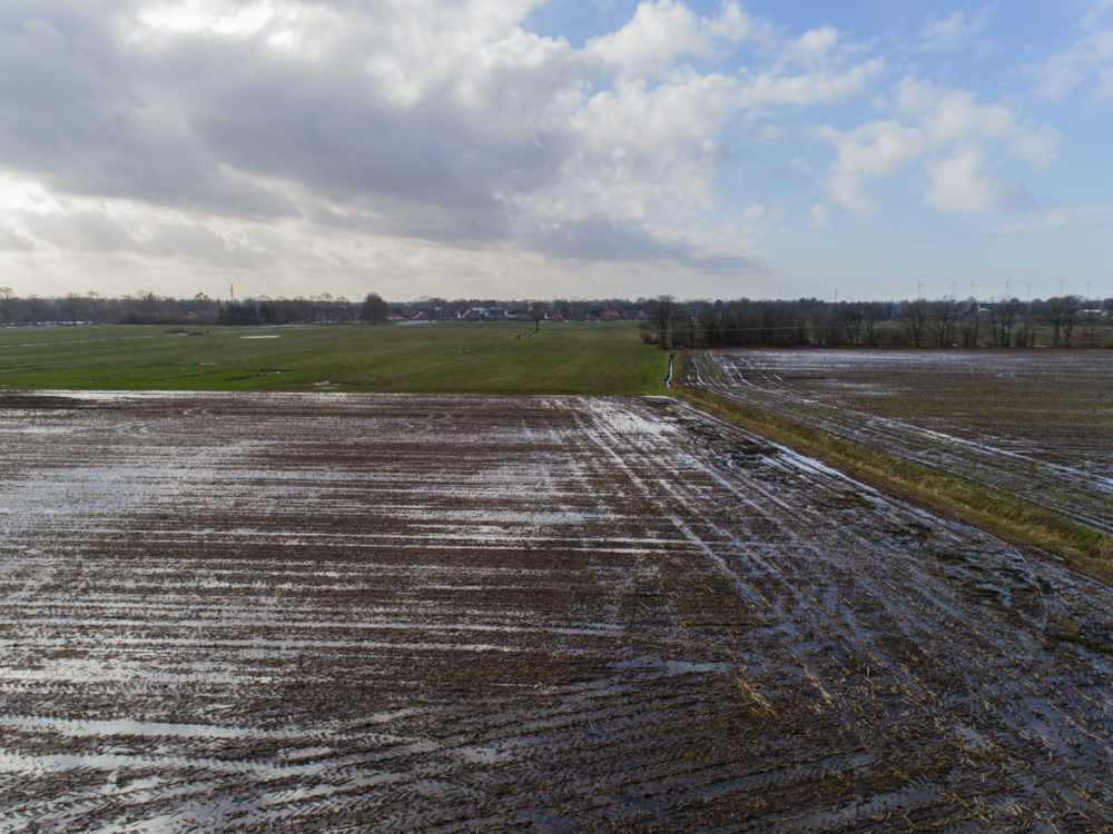 Harvesting cover crops as forage on prevented planting acres