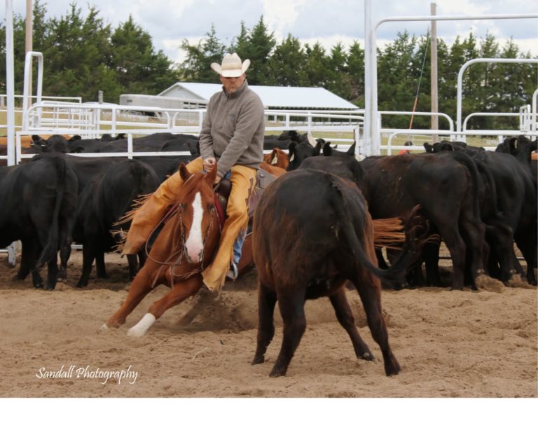 Managing people, dealers and ranch life