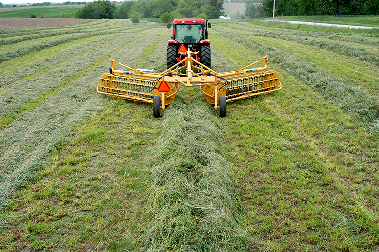 Which rake makes the best windrow for your operation?