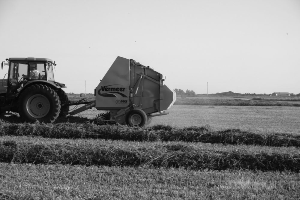 Is it trade-in time for your forage lineup?