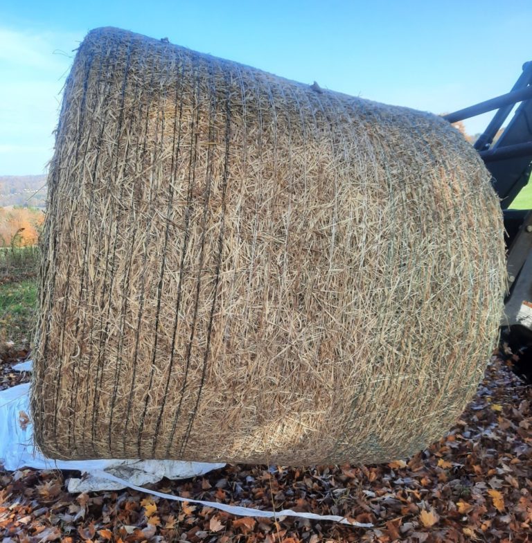 Plastic wrap for dry hay sustains quality