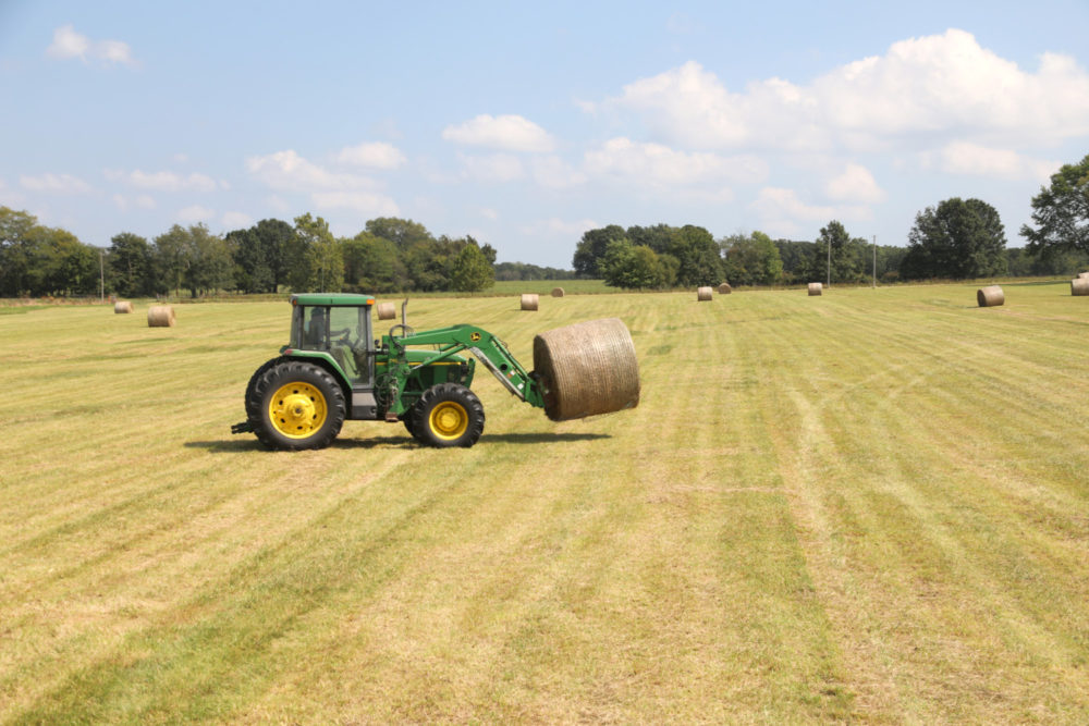 2021 Forage market outlook