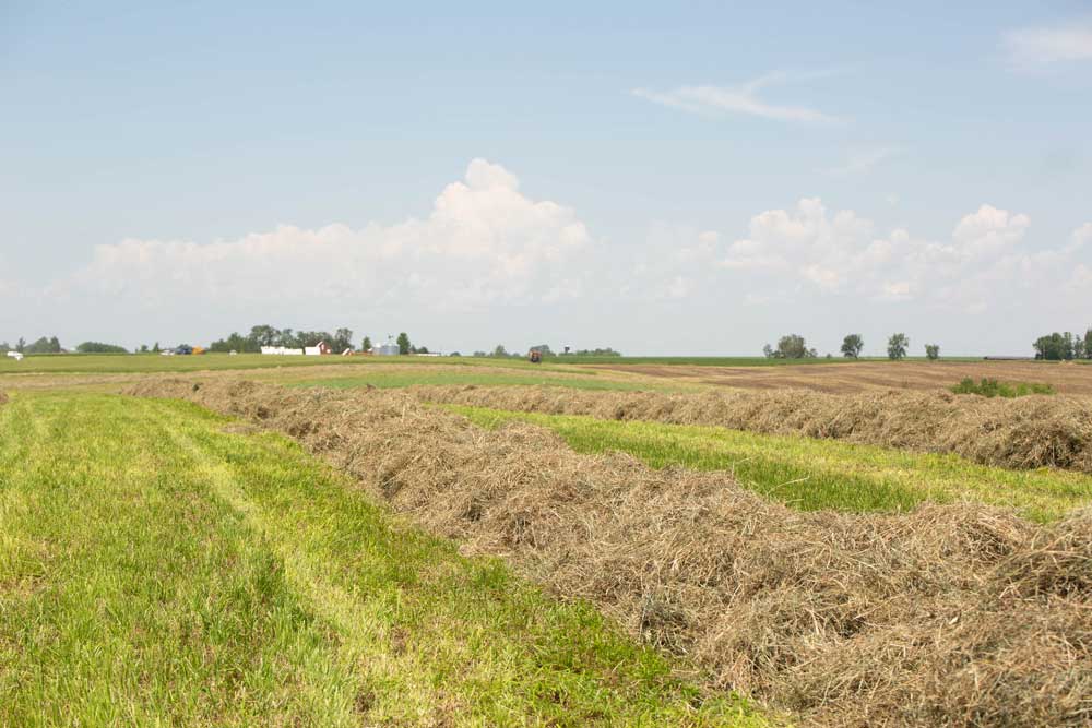 USDAAMS Market Reports provide hay price transparency Makin' Hay