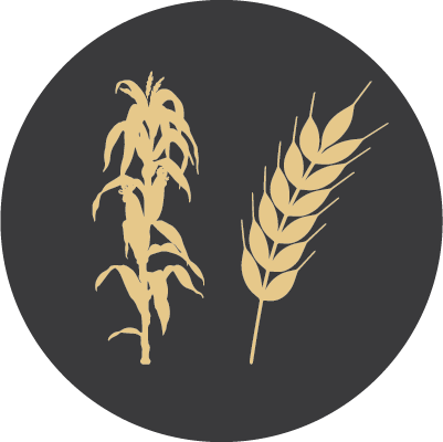 Corn and Wheat Icons