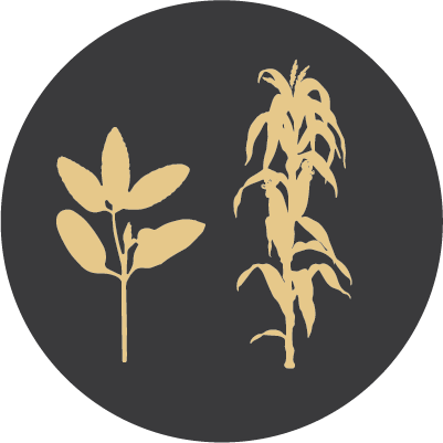 Alfalfa and Wheat Icons