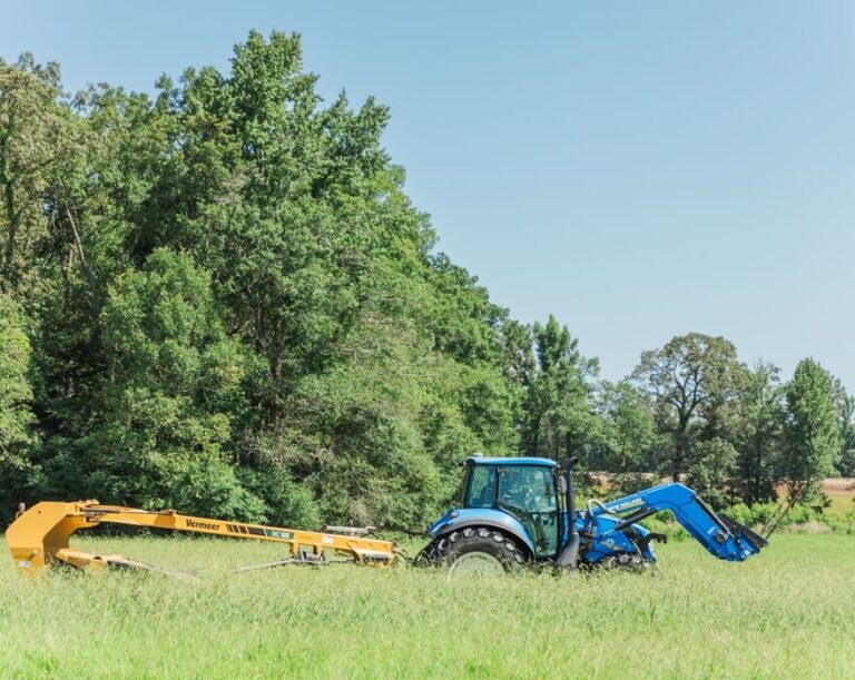 How to maximize your forage quality with pasture management