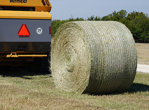 What to look for when buying quality hay