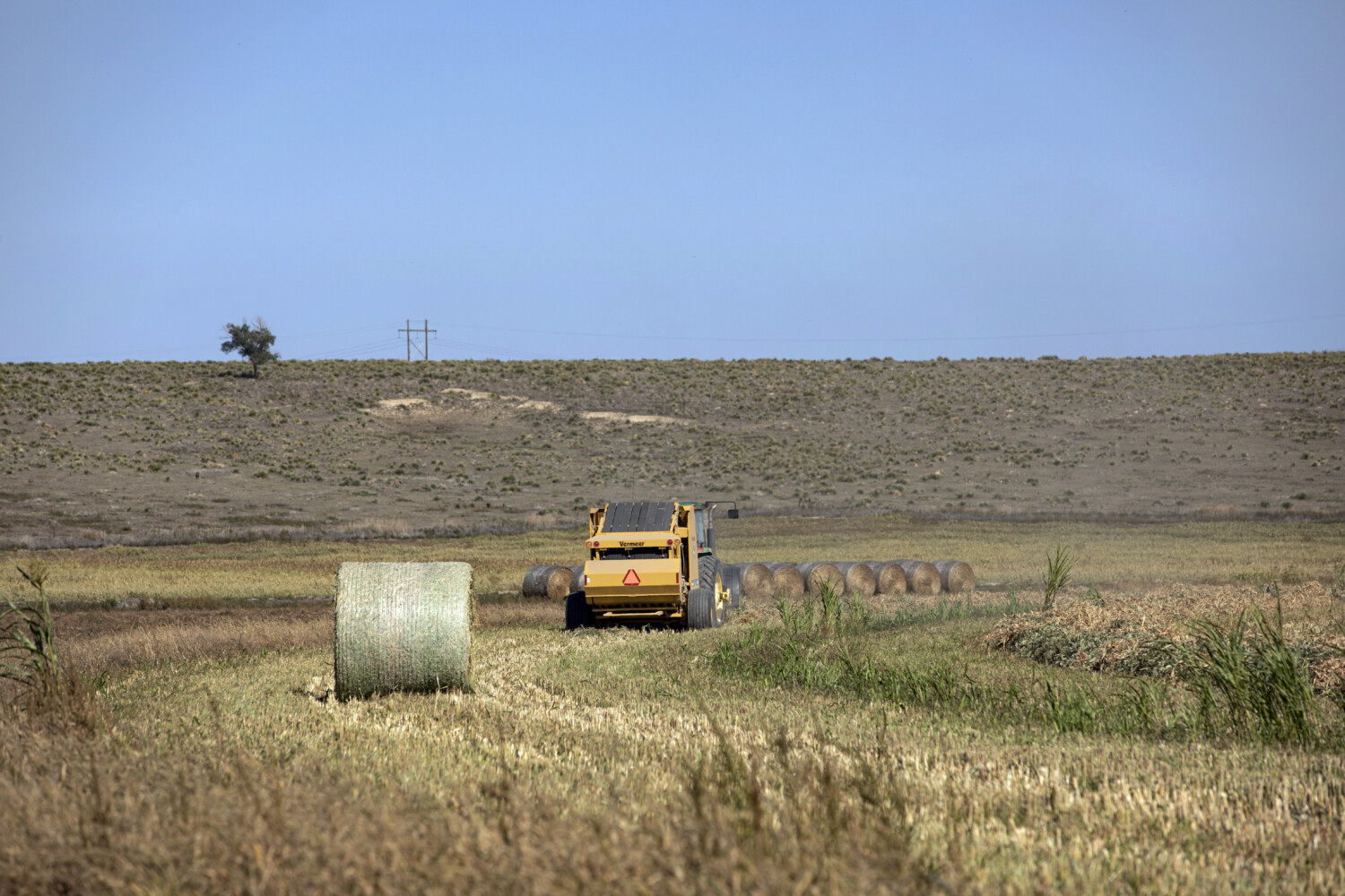 How a Kansas farmer puts up more hay right with a 605N baler | Makin ...