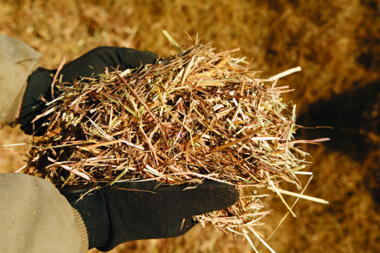 Importance of Testing Hay Quality
