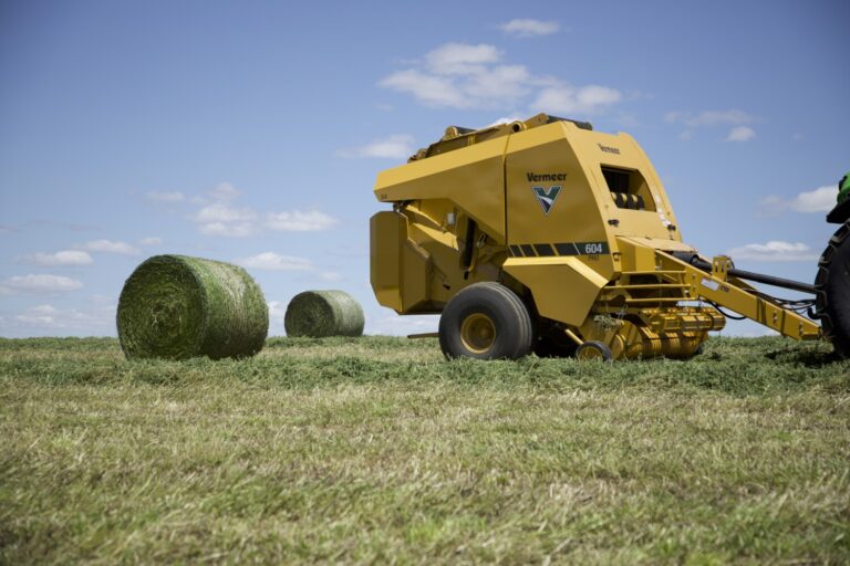 Benefits of Chopped Hay