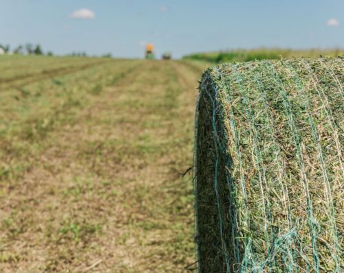 A wrapped silage bale with a Vermeer baler off the distance.